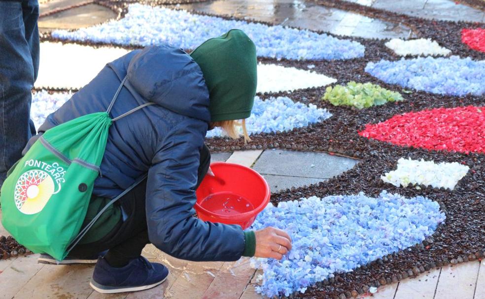 Una alfombra de pétalos en honor a San Froilán