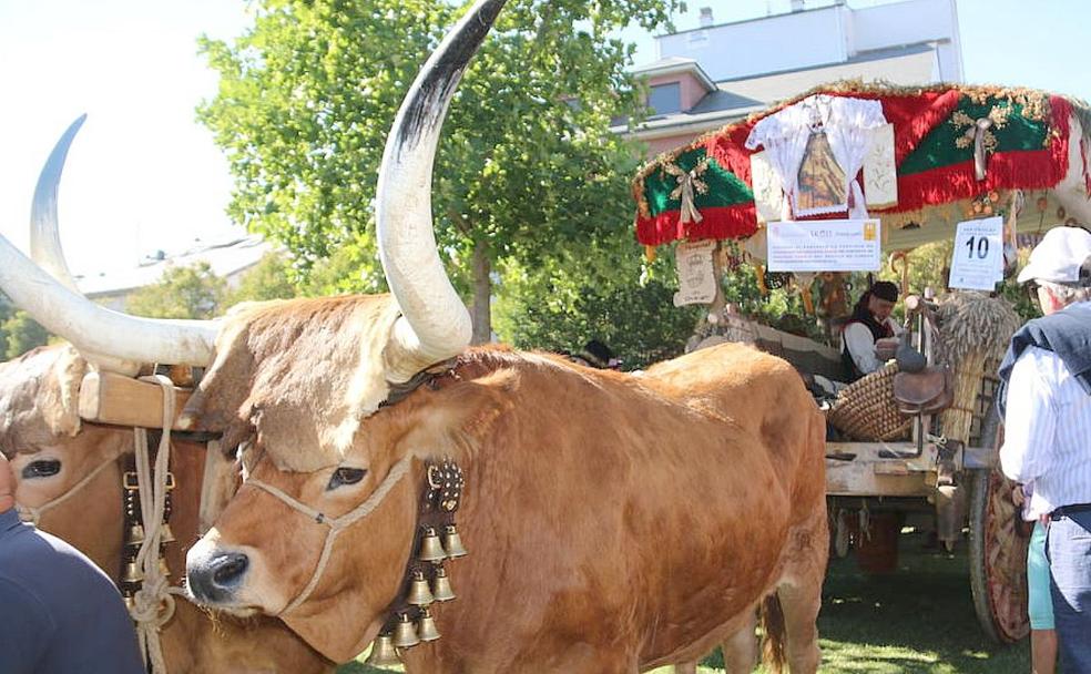 'San Froilán' vuelve a peregrinar a La Virgen del Camino