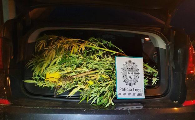 Huyen de la Policía de San Andrés a 140 kilómetros por hora y arrojando plantas de marihuana por la ventana