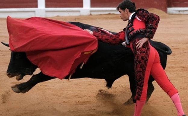 Ciudadanos reclama incluir a la industria cultural de la Tauromaquia dentro del Bono Cultural estatal