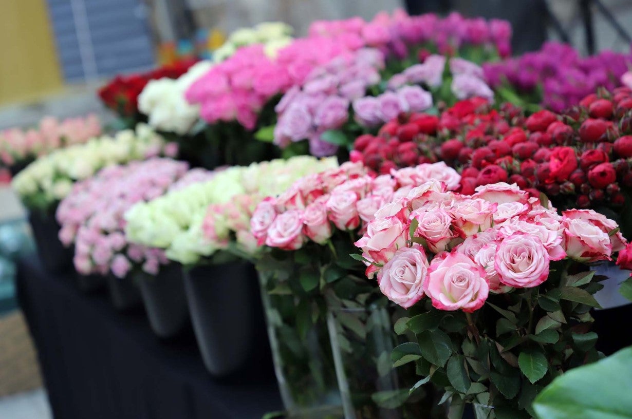 Mónica Manjón y Judith Albalá, representantes leonesas del MAF