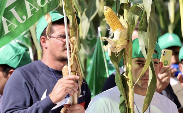 Cientos de agricultores reclaman en Madrid que no se obligue a la rotación del maíz