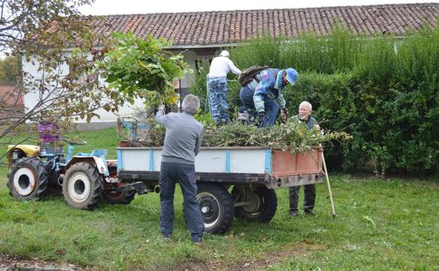 Promonumenta colabora en el mantenimiento de las zonas verdes del Monasterio de Gradefes