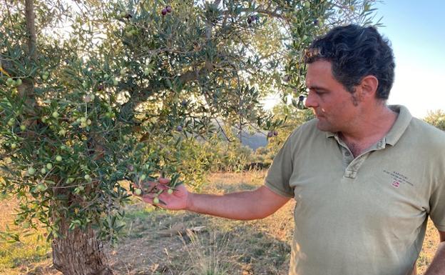 El tiempo esta semana: estable y con el campo que alterna recolección y siembra