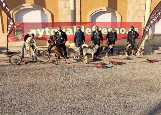 La Transsobarriba Mushing regresa a Valdefresno el domingo con una carrera de trineos