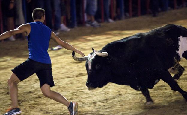 Fallece un hombre corneado por un toro en Castellón