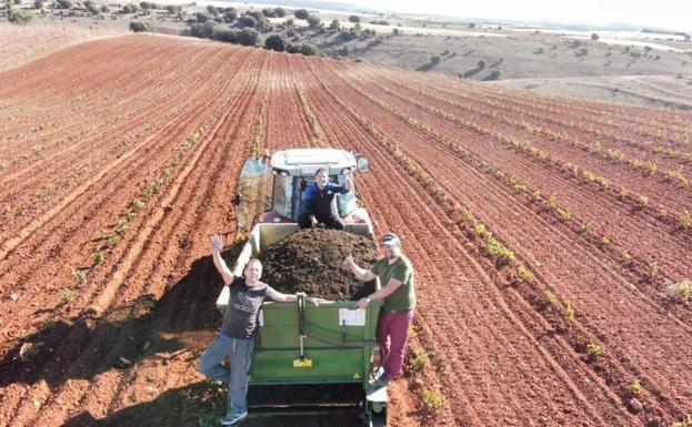 El estiércol de oveja, el mejor aliado en la postvendimia