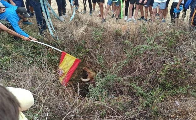 Denuncian maltrato animal en un encierro por el campo