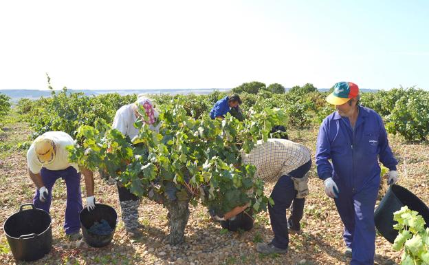 El paro agrario sube en 1.288 personas y se firman 10.635 contratos