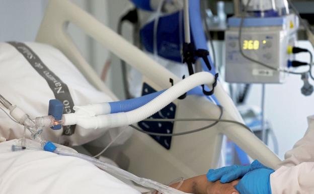 León suma ocho positivos y mantiene estable los ingresos por covid en los hospitales