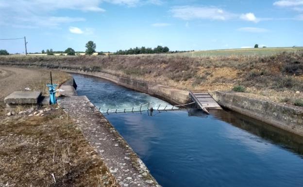 Izquierda Unida denuncia la agonía de la fauna en los canales de la CHD en la provincia de León