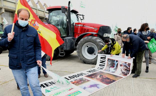 Asaja, COAG y UPA recurren ante la Audiencia Nacional contra la orden del lobo