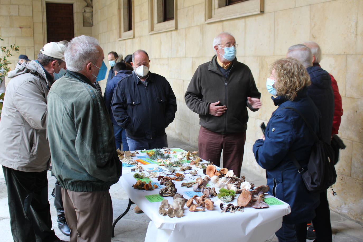Conocer las setas en la Semana Micológica