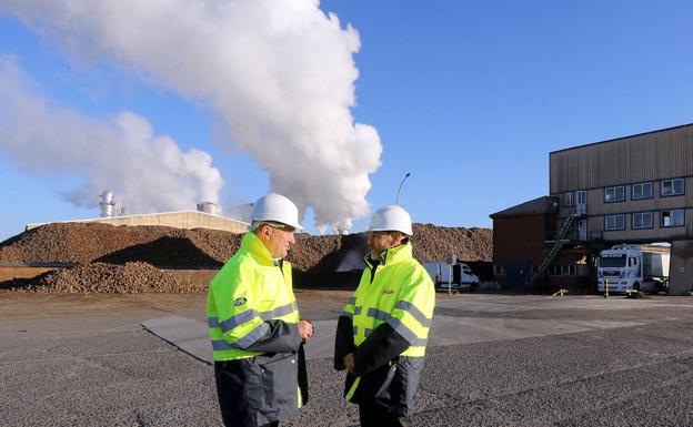 Carnero muestra el «total apoyo» de la Junta al sector de la remolacha por ser «el cultivo que mayor aporte hace como sumidero de CO2»