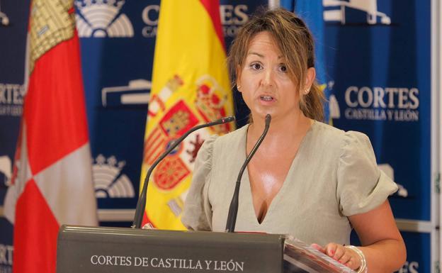 El PSCyL advierte de que «no va a parar» para que se diriman responsabilidades por la trama eólica