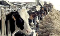 Castilla y León y Galicia crearán un grupo de trabajo para compartir herramientas de apoyo a los ganaderos