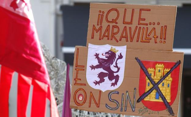 Esther Seijas, catedrática de derecho Constitucional: «El mapa autonómico no está cerrado en Castilla y León, pero tiene que modificarse el Estatuto»