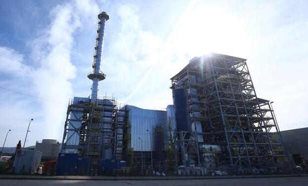 Quiñones deja en manos de la justicia la decisión sobre un presunto delito ecológico de Forestalia