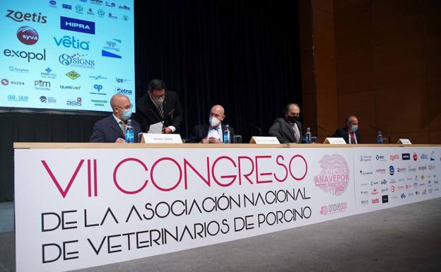 Los veterinarios de porcino defienden la sostenibilidad del sector y piden que no se demonice