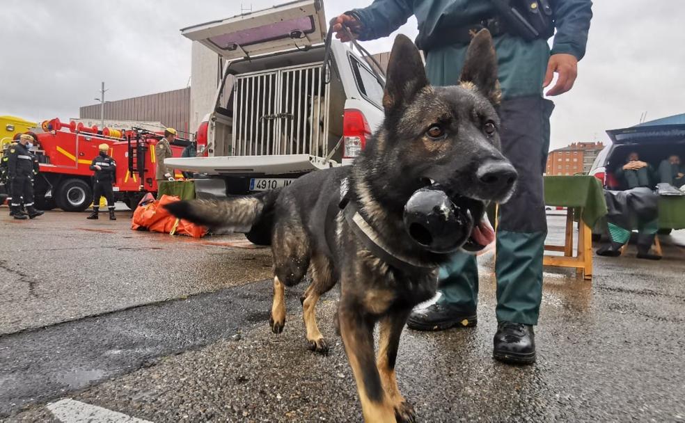 Exhibición de 'músculo' ante las emergencias