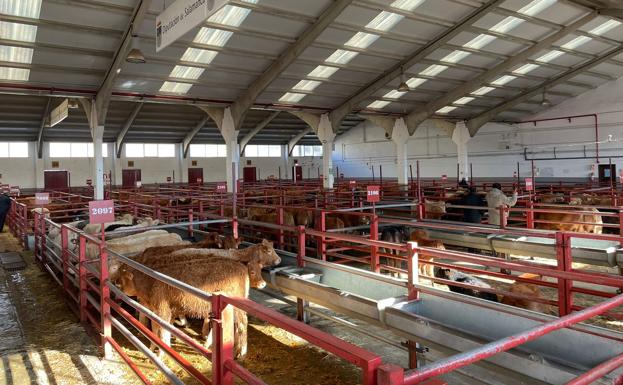 El trigo y la cebada suman un euro en la lonja de Salamanca