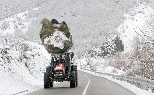 La cota de nieve vuelve a caer en León y San Glorio se mantiene con cadenas