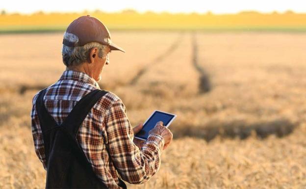 154 municipios de la provincia recibirán la extensión de banda ancha para 4.090 zonas con 11,3 millones