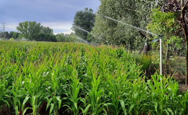 Ferduero rechaza el Plan Hidrológico del Duero y anuncia alegaciones