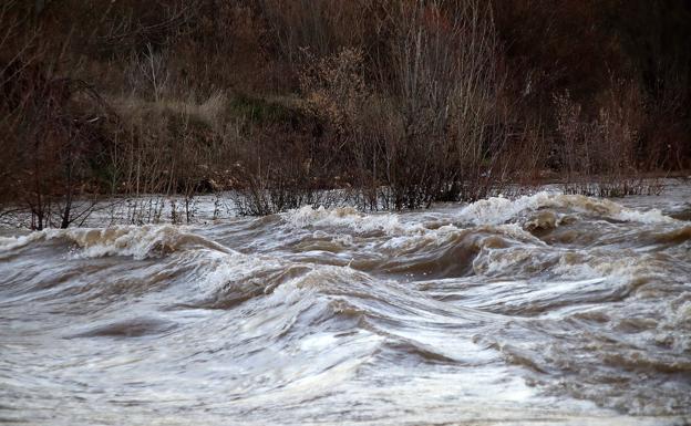 El río Bernesga supera el nivel de alerta de la CHD a su paso por Alija de la Ribera