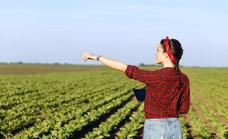La Junta publica las bases reguladoras de cinco líneas del Plan Agricultura y Ganadería Joven