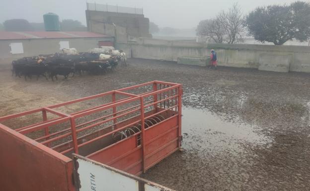 El tiempo esta semana: vuelven las precipitaciones y el martes comienza el invierno