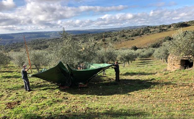 El gasto en productos ecológicos en España se incrementa un 7 %