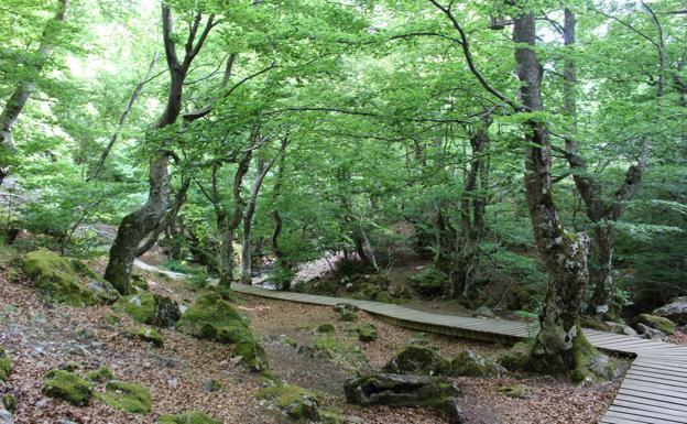 El PP denuncia el «olvido» de la Diputación a la hora de repartir 51.000 euros para las siete Reservas de la Biosfera