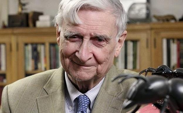 Fallece Edward O. Wilson, naturalista estadounidense apodado el 'Darwin moderno'