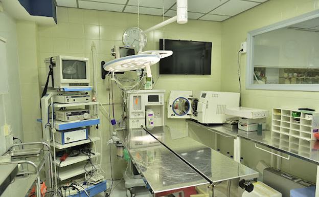 El Gobierno impulsa sendos hospitales veterinarios en Ponferrada y Villablino