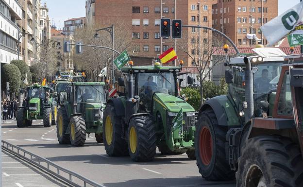 El campo regresará a las calles de Salamanca con una tractorada