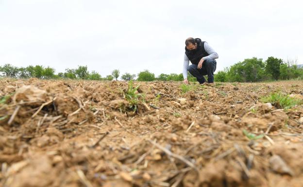 La Junta selecciona a más de 7.500 agricultores para recibir formación este año