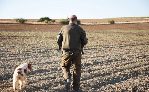 El Ministerio abre el periodo de consulta de la Estrategia Nacional de Gestión Cinegética