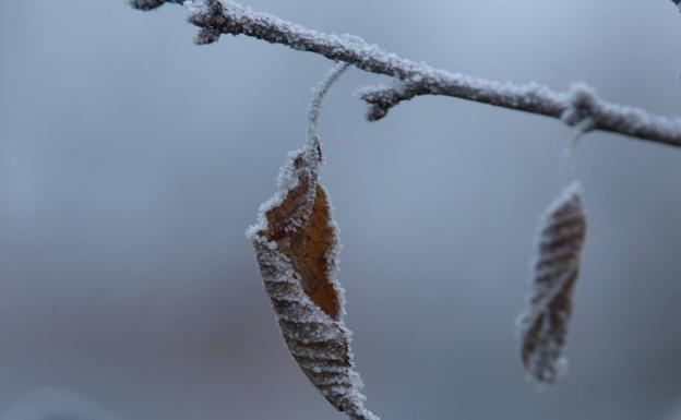 Alerta amarilla por temperaturas de hasta seis grados bajo cero en León