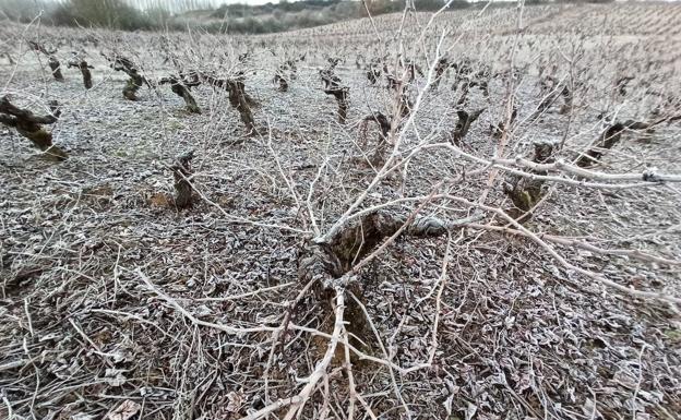 La provincia de León, en alerta amarilla por temperaturas mínimas que podrían llegar a los 6 grados bajo cero