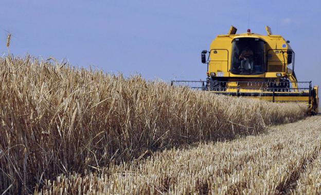 La estabilidad de precios en los cereales marca el comienzo de año en la lonja de León