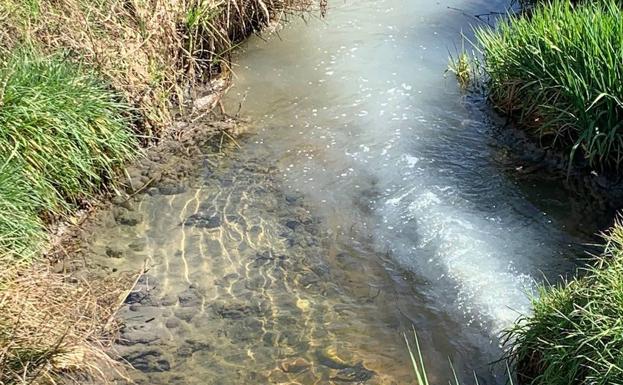 Ecologistas pide a la CHD, Junta y Ayuntamiento de Riego de la Vega el cese de los vertidos de la EDAR a la Zaya del río Tuerto