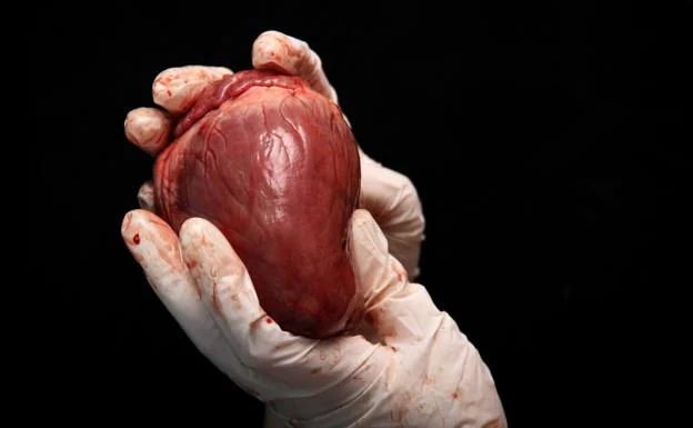 n 2021 se donaron cuatro corazones de personas con PCR positiva en el momento de su fallecimiento./RC