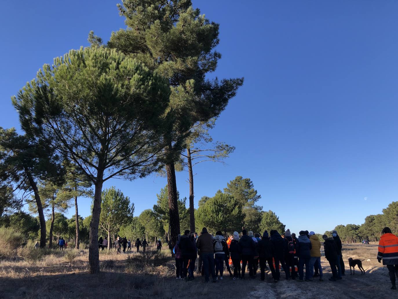 Continúa la búsqueda de Esther López