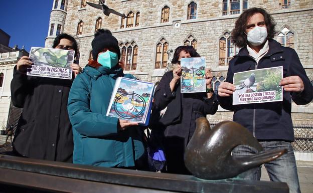 Pacma reclama piensos anticonceptivos para las aves y lugares donde anidar en León