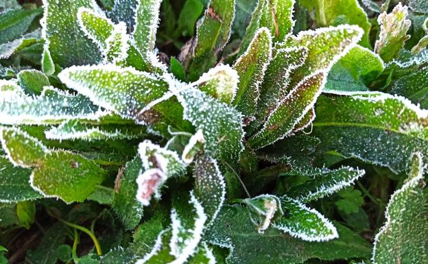 Alerta amarilla por temperaturas gélidas en toda la montaña leonesa