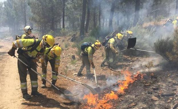 Convocada la constitución de bolsas de empleo para la extinción de incendios en todas las provincias, salvo León y Valladolid