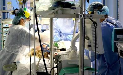 La pandemia agudiza su drama con nueve muertes en León y 2.152 casos durante el fin de semana