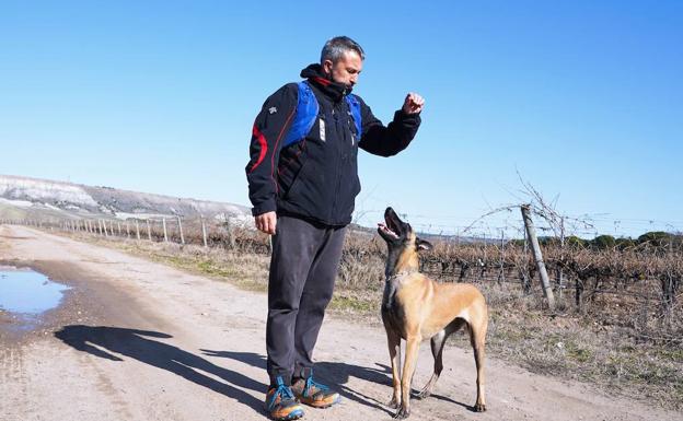 De Posada de Valdeón a Traspinedo: David y Luna, su pastor belga, se unen a la búsqueda