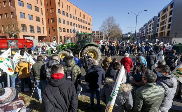 El sector agrario se movilizará mañana en Salamanca y el 1 de febrero en Zamora